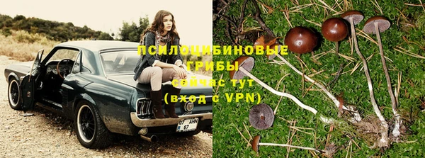 молекула духа Баксан