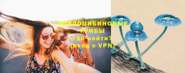прущая мука Семёнов