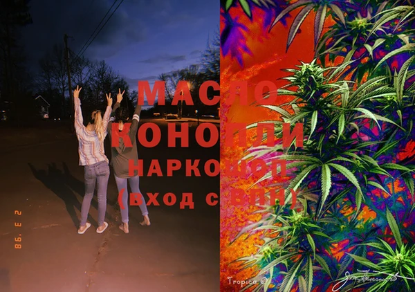 стафф Аркадак
