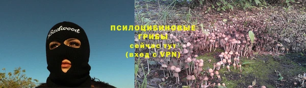 дживик Балабаново