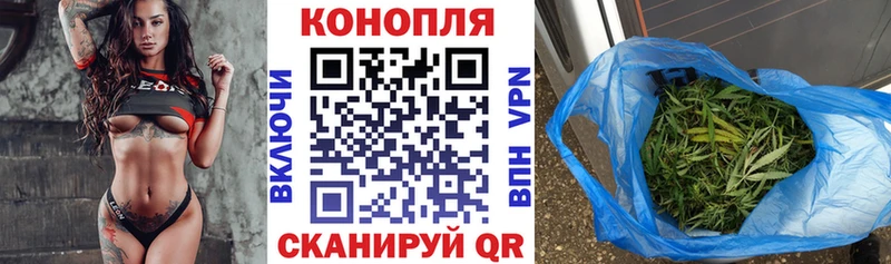 купить   Буинск  Бошки марихуана гибрид 